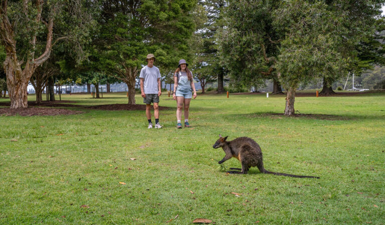 2 people looking at a wallaby at The Basin campground 768x450