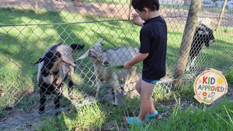 Glenworth Valley Campsite 768x432