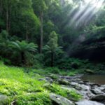 National Park Fees Australia