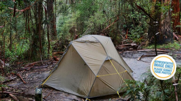 discovery resorts kings canyon.jpg 768x432