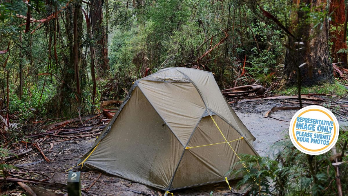 Discovery Resorts - Kings Canyon