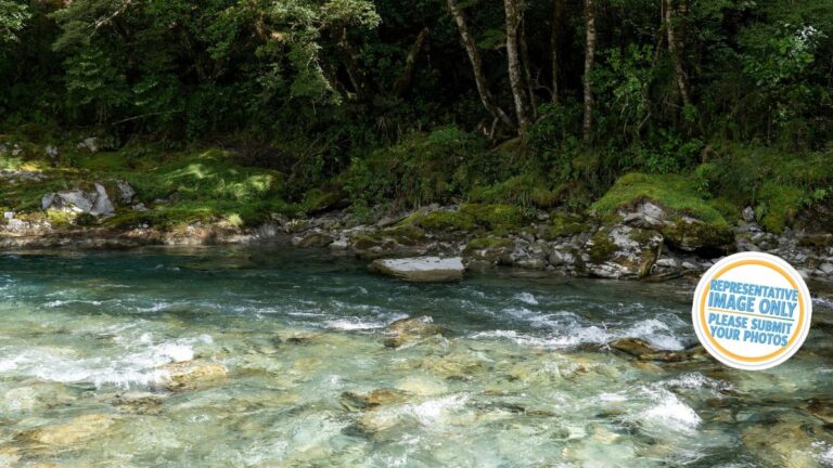 henry creek campsite.jpg 768x432