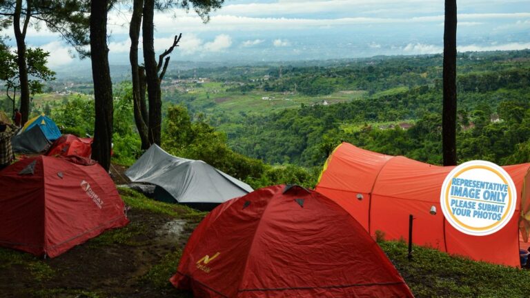 honeysuckle campground.jpg 768x432
