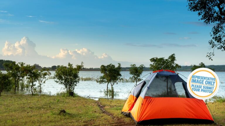 kai iwi lakes pine beach campground.jpg 768x432