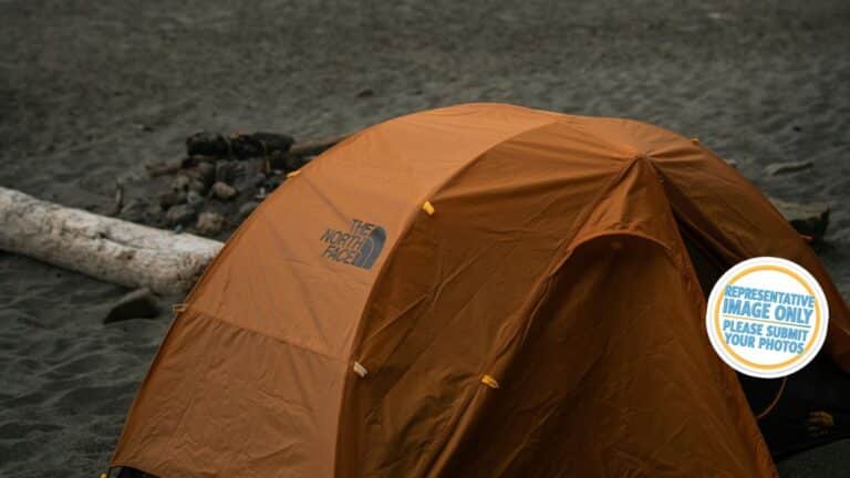 kapowairua spirits bay campsite.jpg 768x432