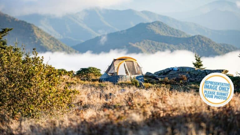 orroral campground.jpg 768x432