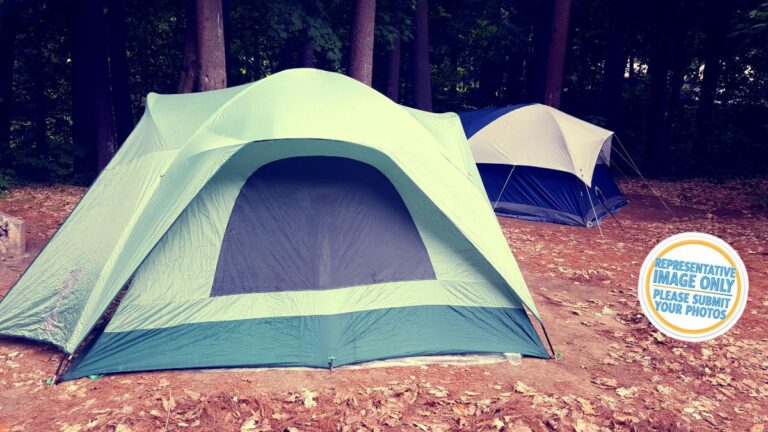 port jackson doc campsite.jpg 768x432