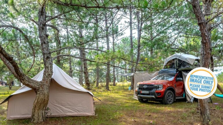 tawharanui regional park campground.jpg 768x432