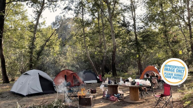 tumu toka curioscape campground.jpg 768x432