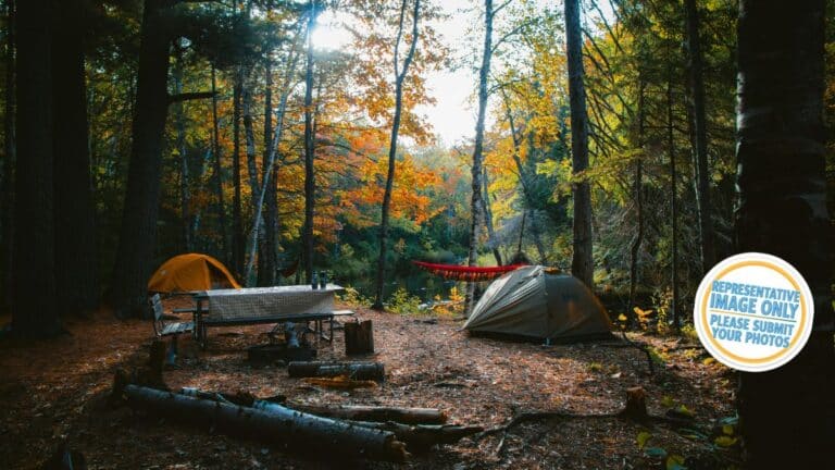 Euroka Campground 768x432